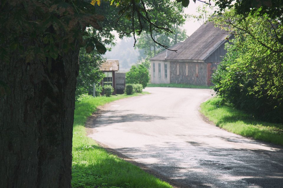 Road in the village