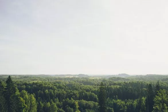 Latvian landscape