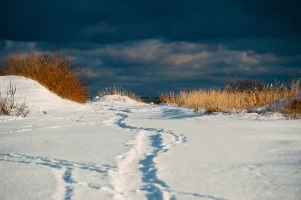 Winter path to sea