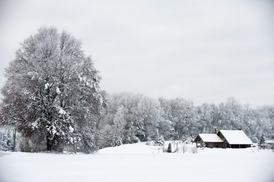 Snowy landscape with winter house