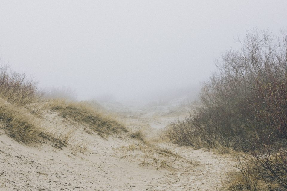 Mist in the dunes