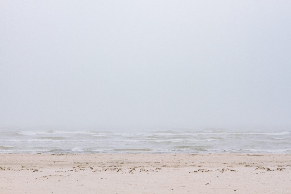 Foggy Seascape