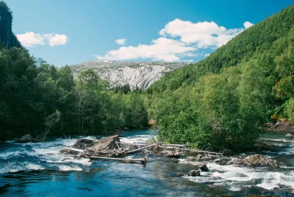 Mountain river, Norway