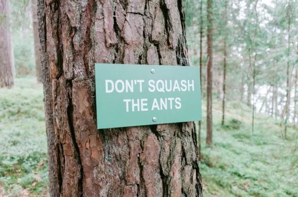 Sign in a forest