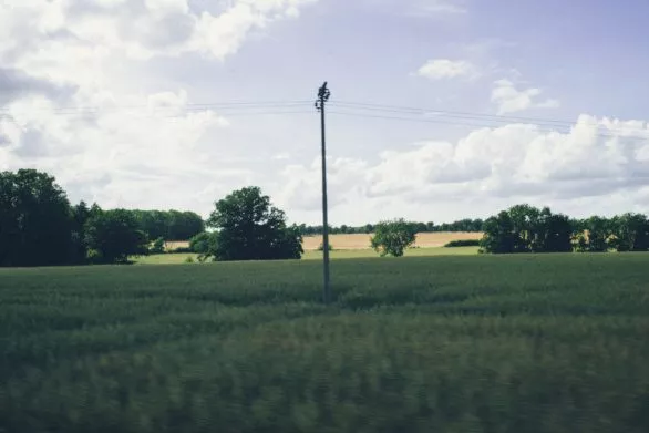 Electric pole in a field