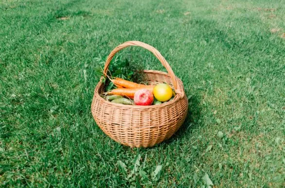 Homegrown vegetables and fruits in a basket