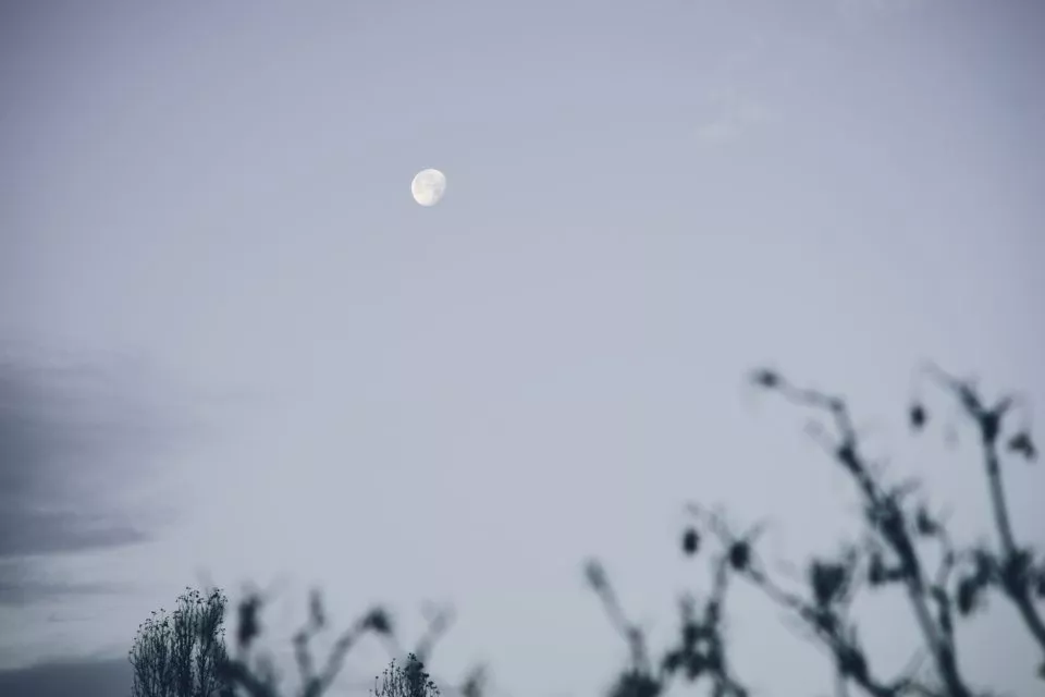Early morning moon
