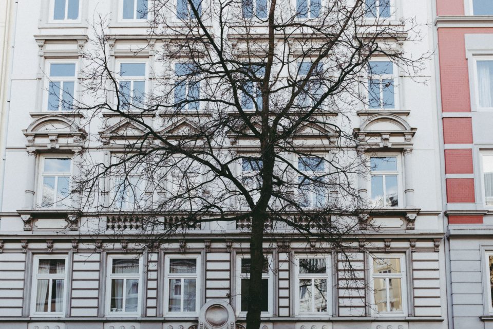 tree and facade