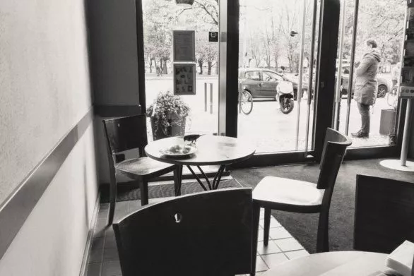 Bird on a table in a cafe