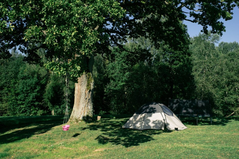 Tent under tree