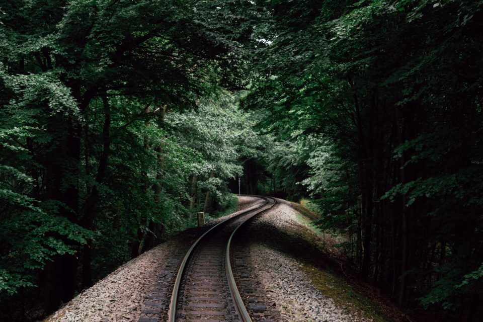 Railroad in forest