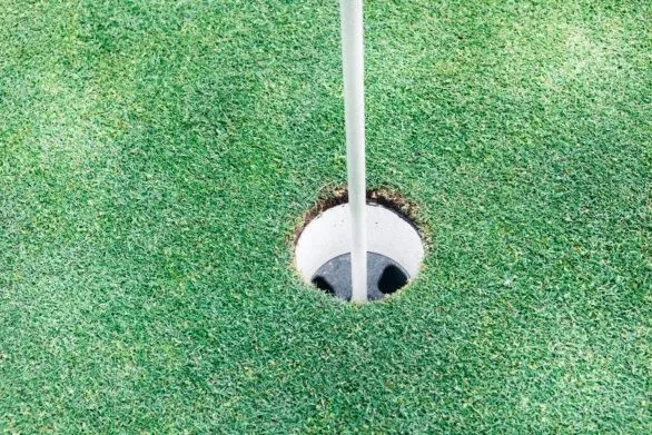 Golf hole closeup