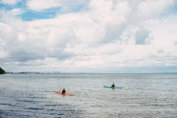 People kayaking in the sea