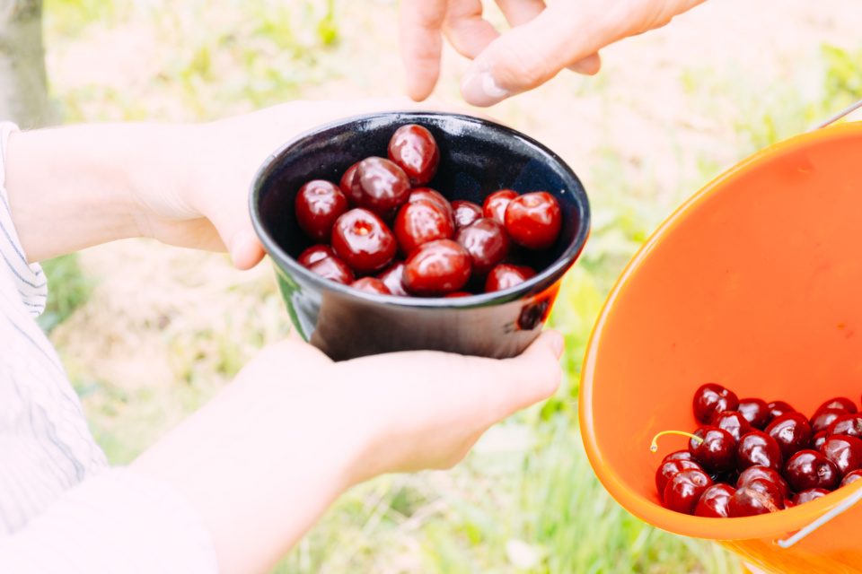 Treating with cherries