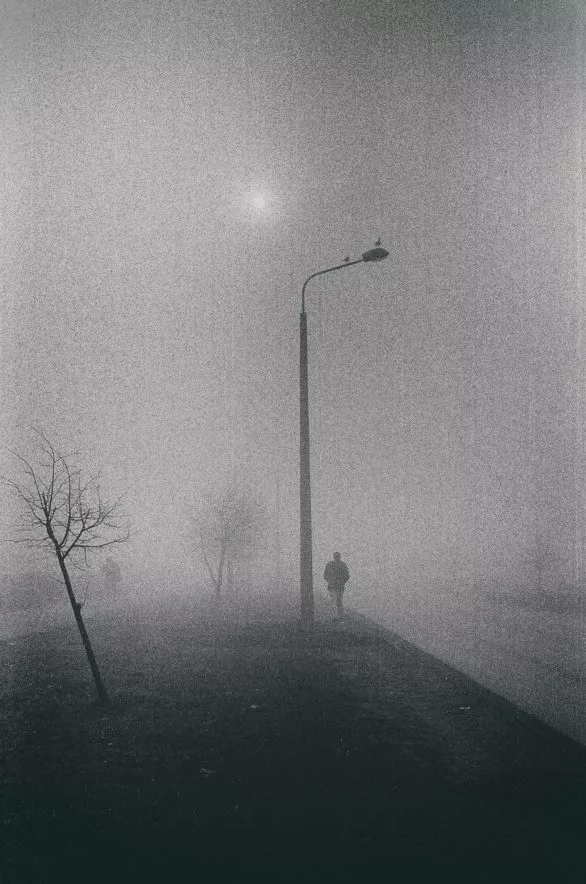 Silhouettes in the Fog