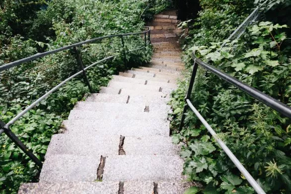 Staircase in park