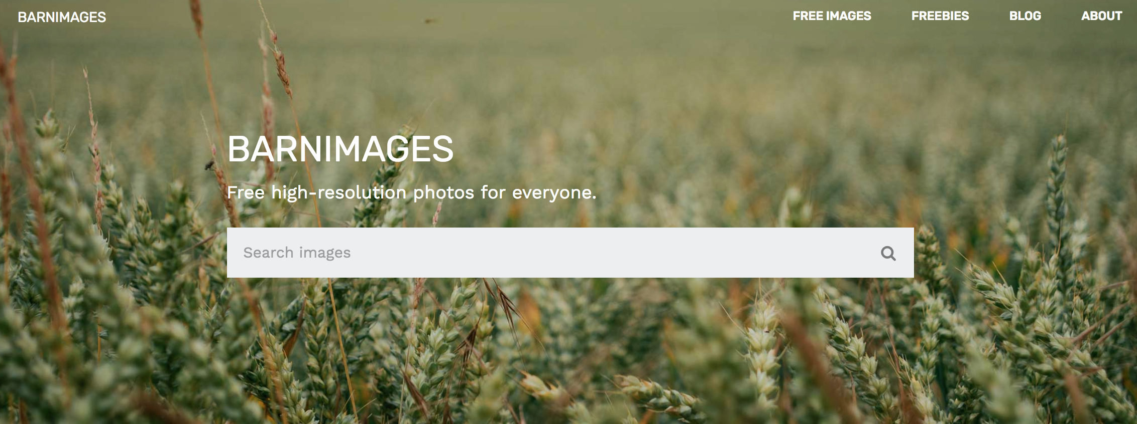 Barnimages – 3 Key Tips On How to Make Your Website User-Friendly