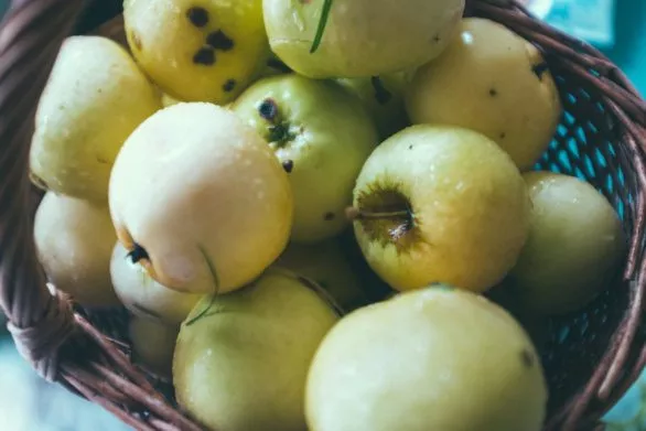 basket of summer apples