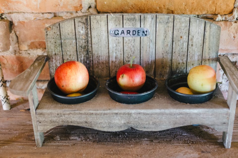 Apples on decorative garden bench