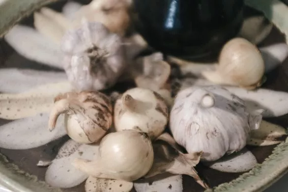 Garlic bulbs on a plate