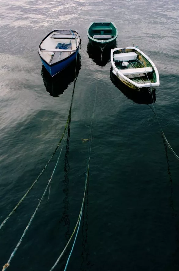 Boats moored in harbour