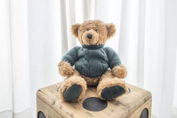 Sitting teddy bear
