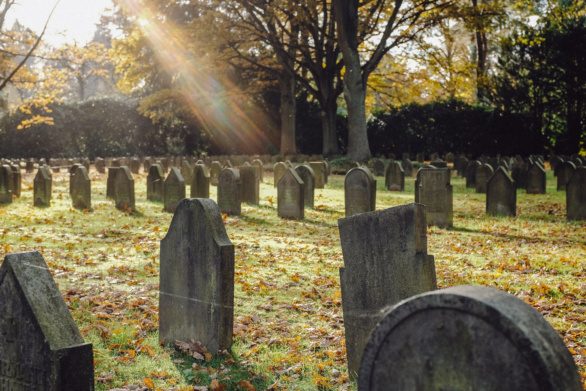 Sunlight on graveyard