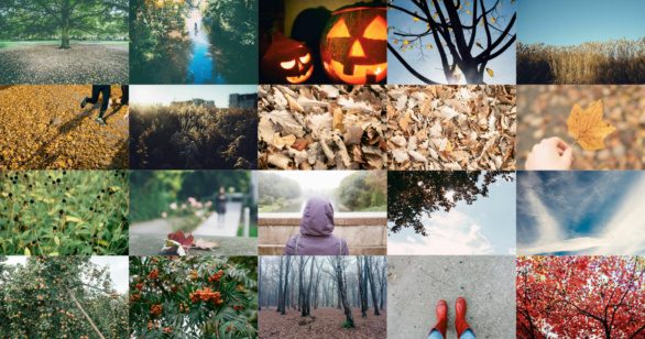 free autumn photos barnimages
