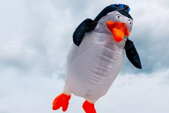 penguin kite