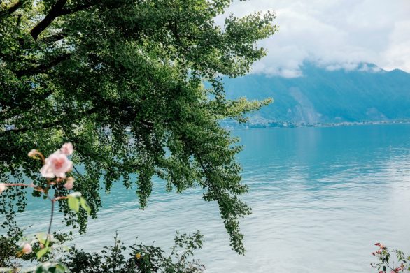View on lake Geneva in Montreux