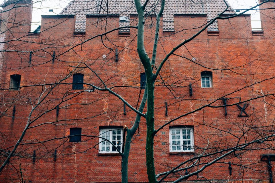 Bare trees in front of medieval brick wall