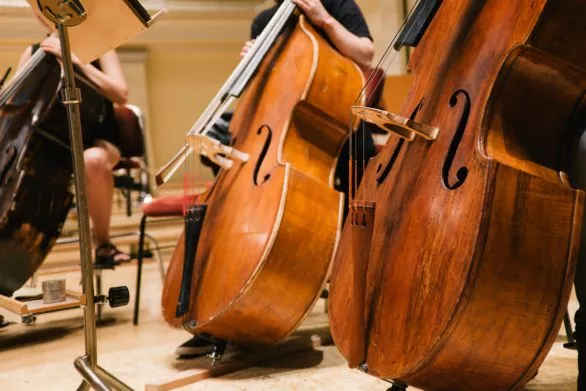 Contrabasses in orchestra