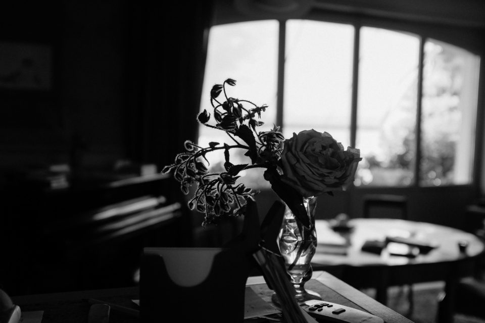 black and white rose in the interior