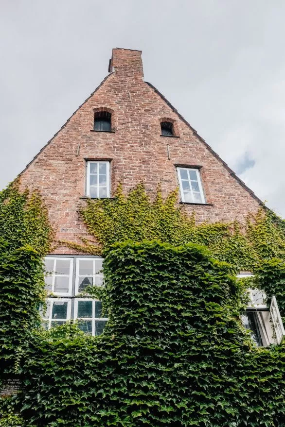 A brick house with ivy
