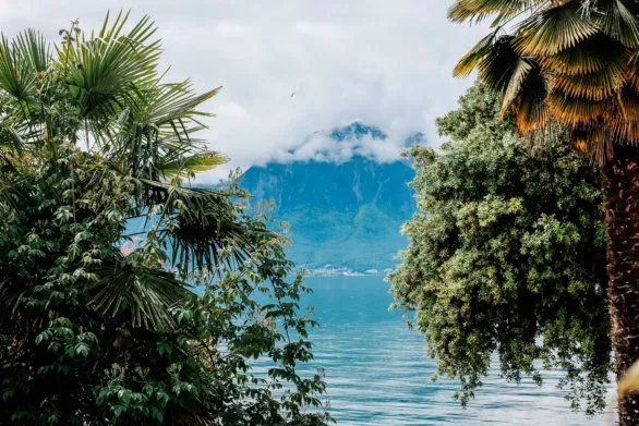 Lake Geneva, palm trees, clouds