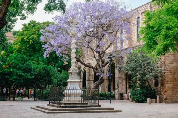 A garden with a blooming tree in Barcelona