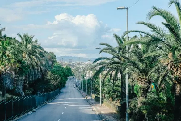 Road and palms in Barcelona