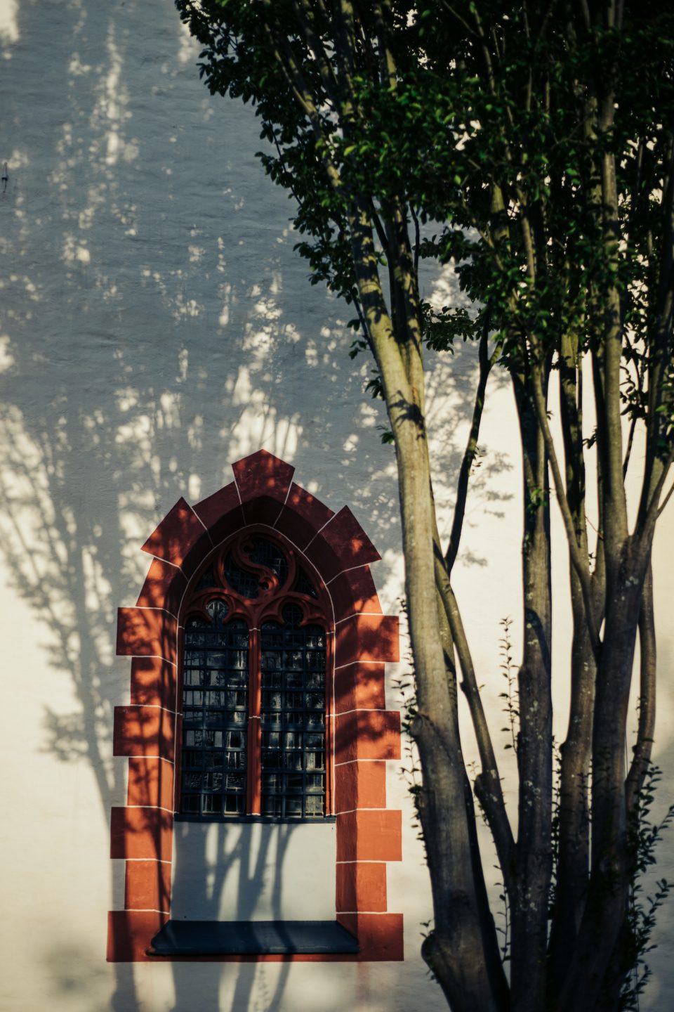 Church window and tree