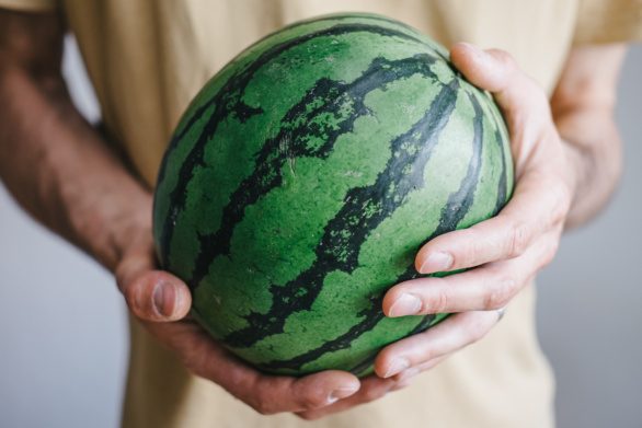 Watermelon in hands