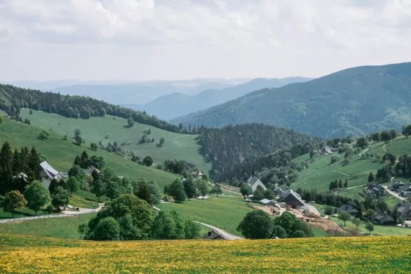 Black Forest region in Germany