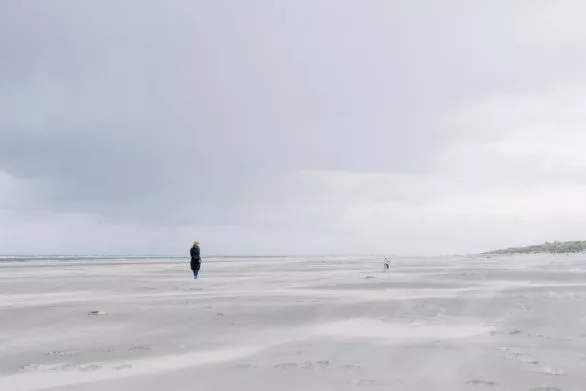 Walking with dog along the North Sea coast