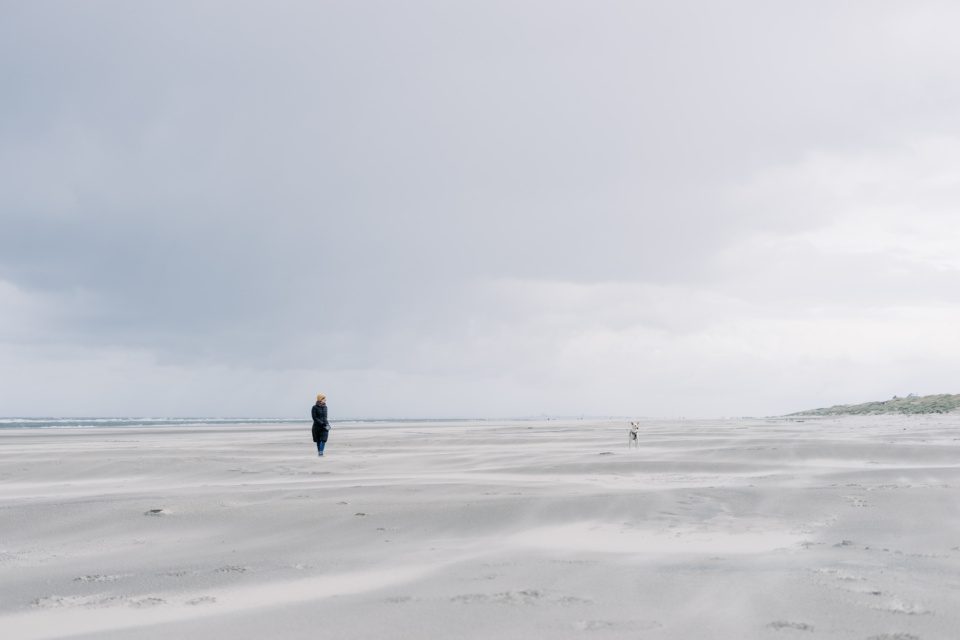 Walking with dog along the North Sea coast
