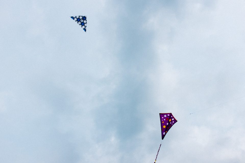 kites in the sky