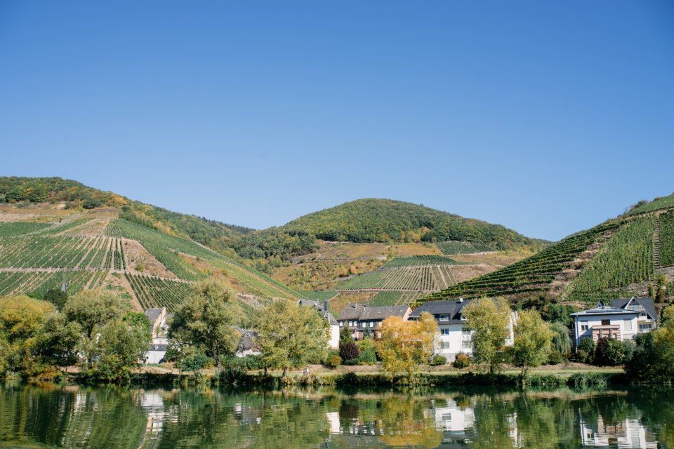 Village in the Moselle Valley