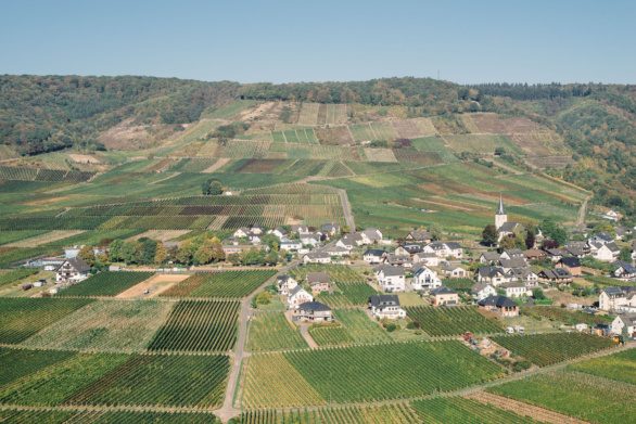 Vineyards and village in Moselle valley, Germany