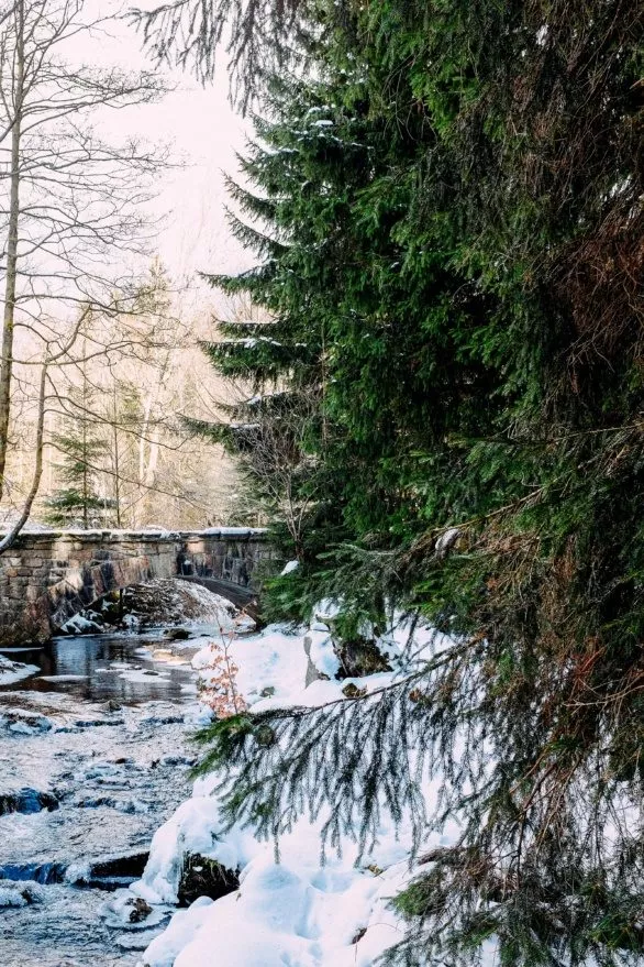 Bridge over the river in winter forest