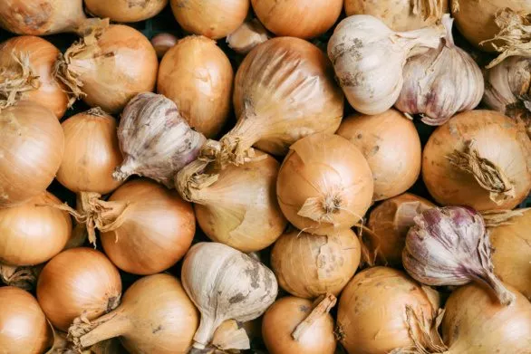 Homegrown onion and garlic