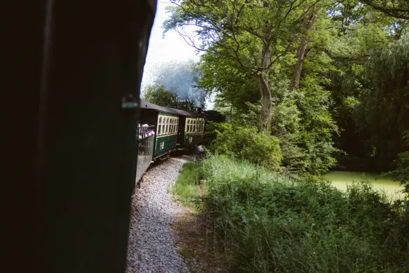 Train making a turn in forest