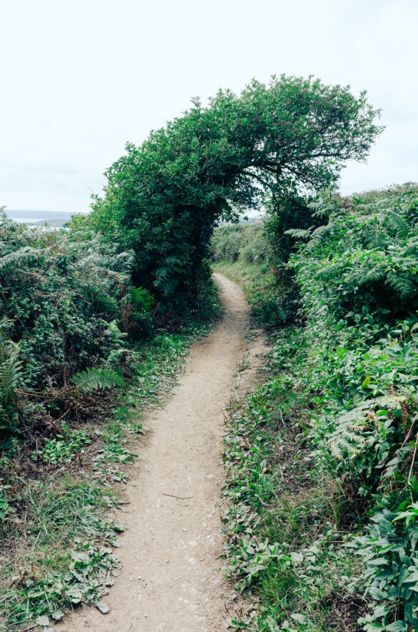 Cornish Coast Path