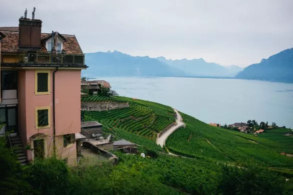 House with a view to Lavaux Vineyard Terraces